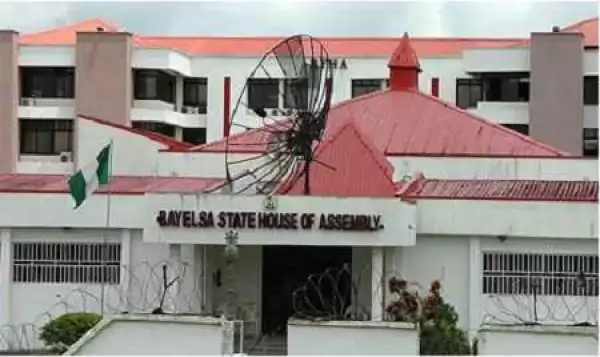 Serious Drama as Live Owl Is Found on a Table Inside Bayelsa State House of Assembly